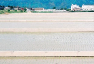 �c��ڂ̋�搮��