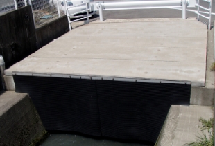 �h���^�C�v