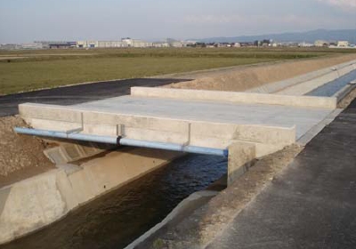 �_���^�C�v