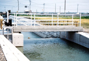 ���H�n�Ń^�C�v