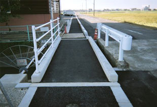 �����p�Ɋg��