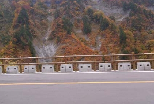 ���R�X�[�p�[�ѓ��i�ΐ쌧�j