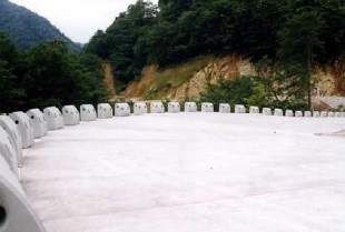 �ѓ�������