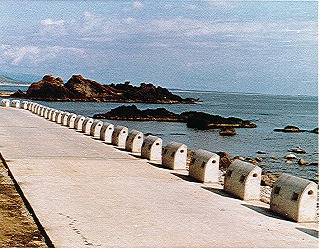 ���������O���`