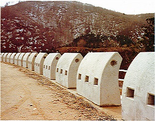 ���R�Ԋ}���C��