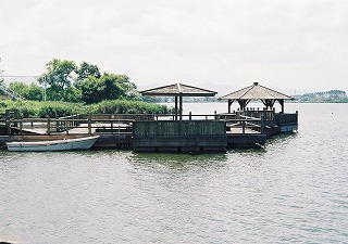 �؏ꊃ����