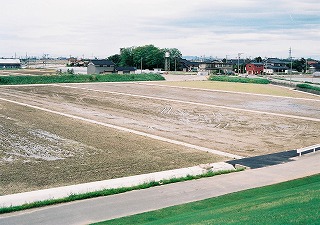 ���������ǁF�t�B�[���h���C��