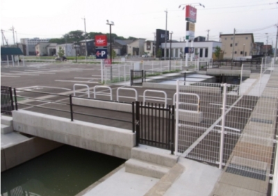 �o���[���C�X�V�z�H��