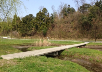 �a����n��R������