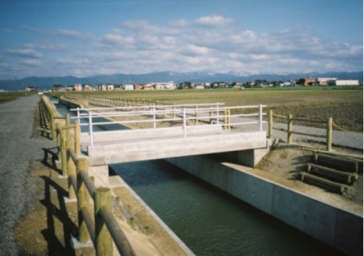 �V����n�搅�H�H��