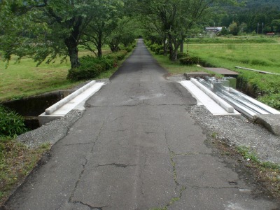 �_�����g���H��