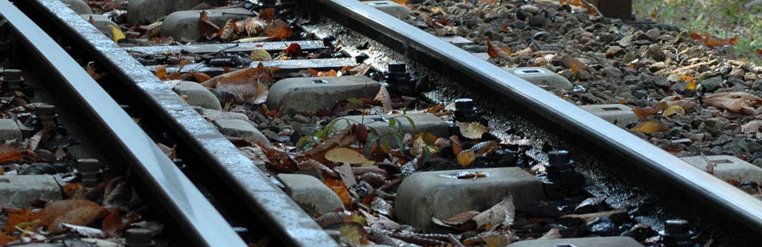 �S���֘A���i