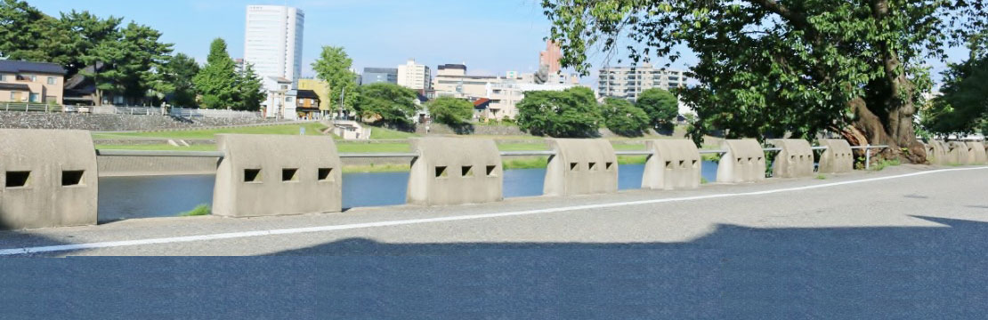 �K�[�h���C��